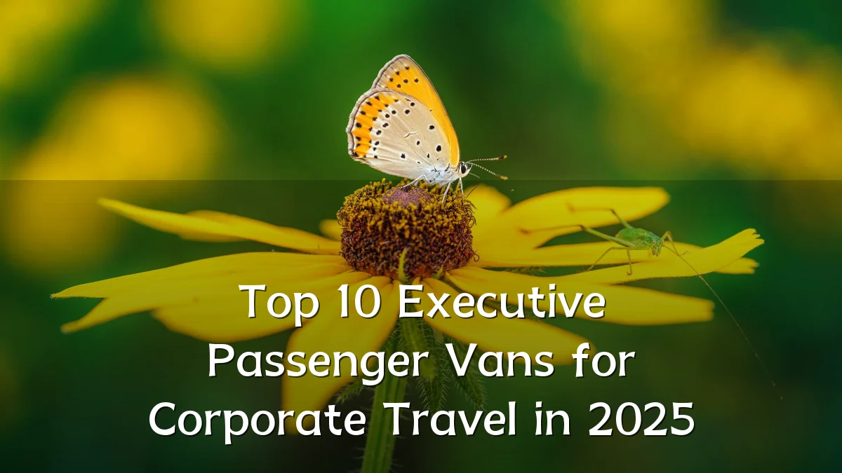 Top 10 Executive Passenger Vans for Corporate Travel in 2025