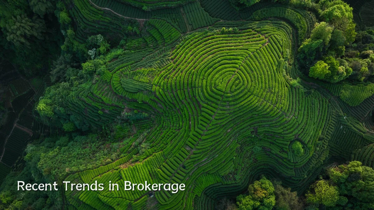 Recent Trends in Brokerage