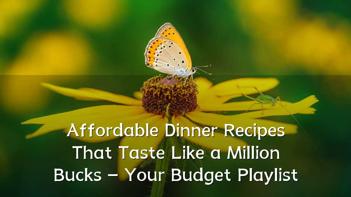 Affordable Dinner Recipes That Taste Like a Million Bucks – Your Budget Playlist