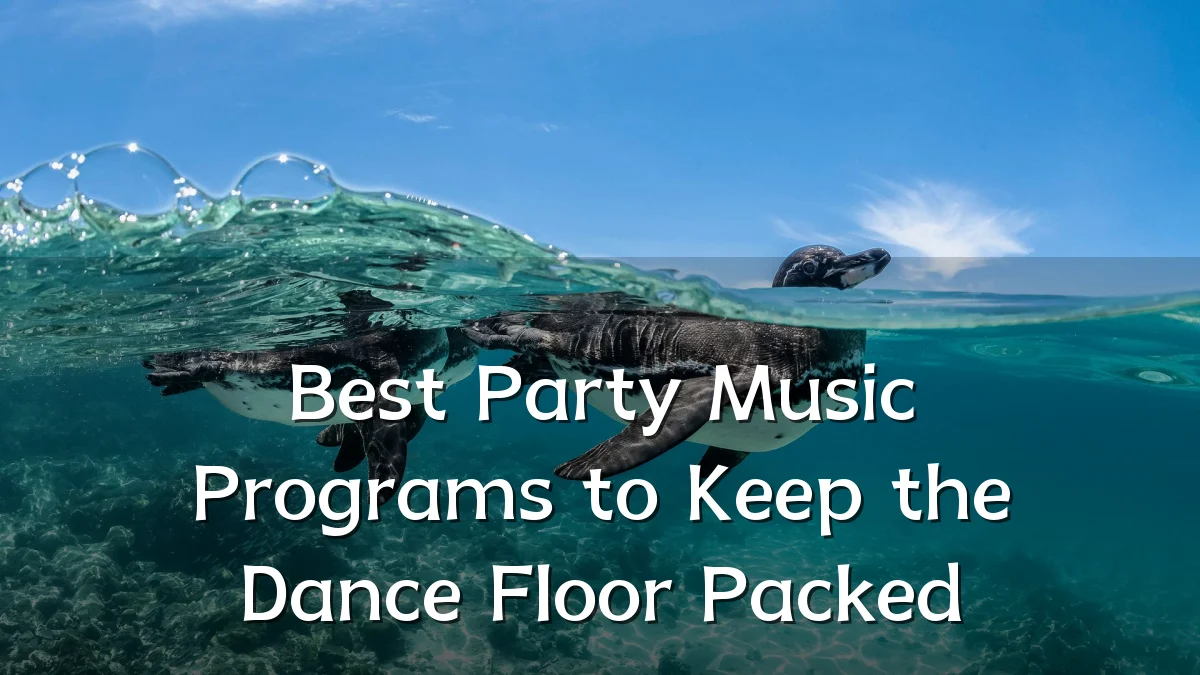 Best Party Music Programs to Keep the Dance Floor Packed