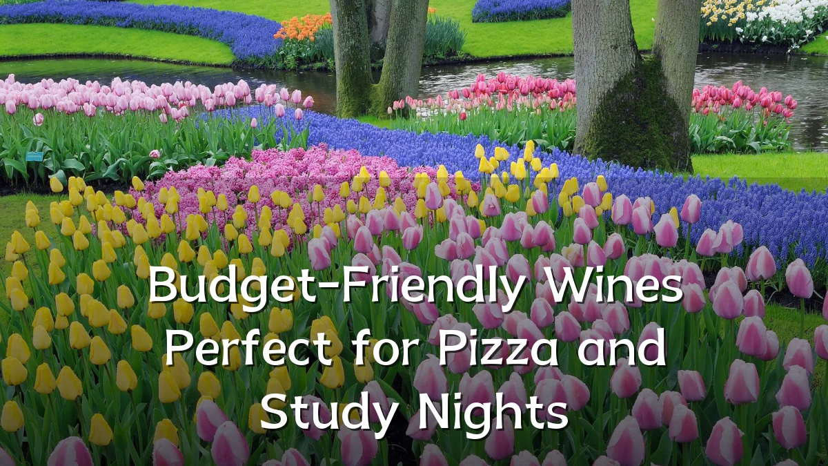 Budget-Friendly Wines Perfect for Pizza and Study Nights