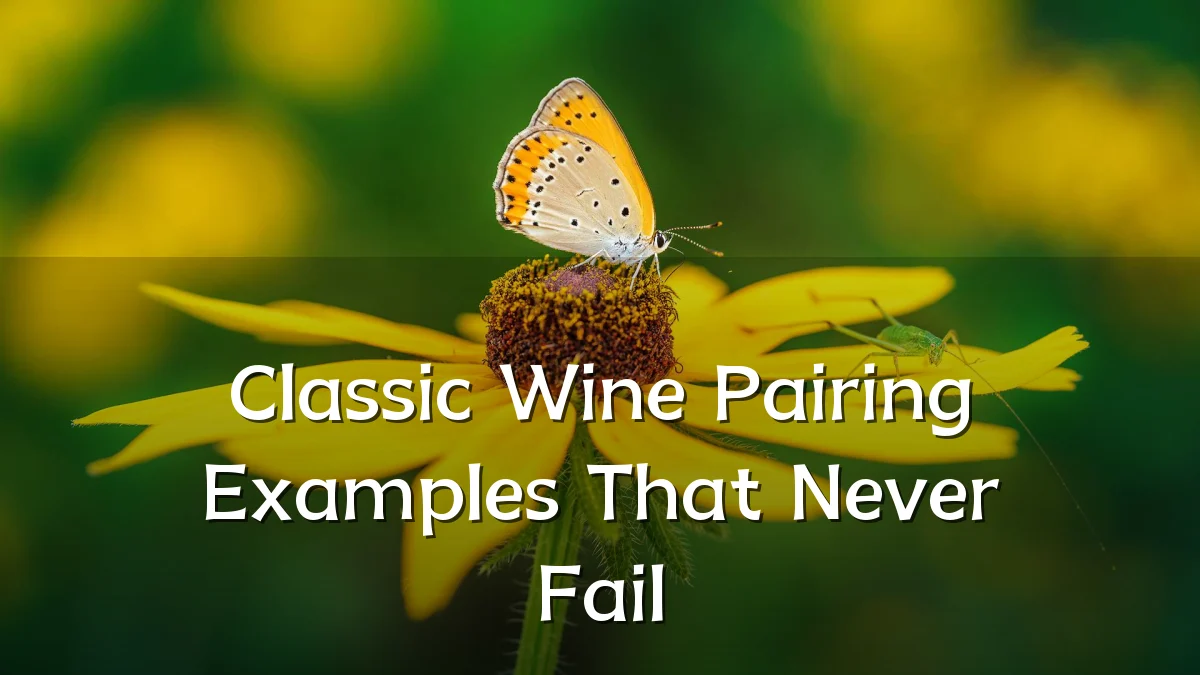 Classic Wine Pairing Examples That Never Fail
