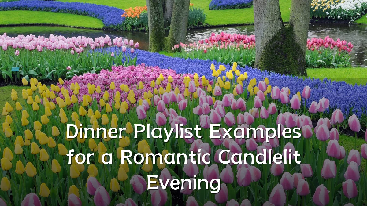 Dinner Playlist Examples for a Romantic Candlelit Evening