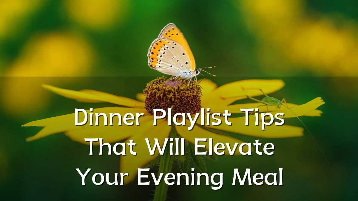 Dinner Playlist Tips That Will Elevate Your Evening Meal