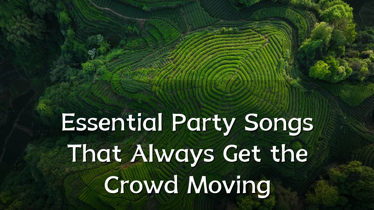 Essential Party Songs That Always Get the Crowd Moving