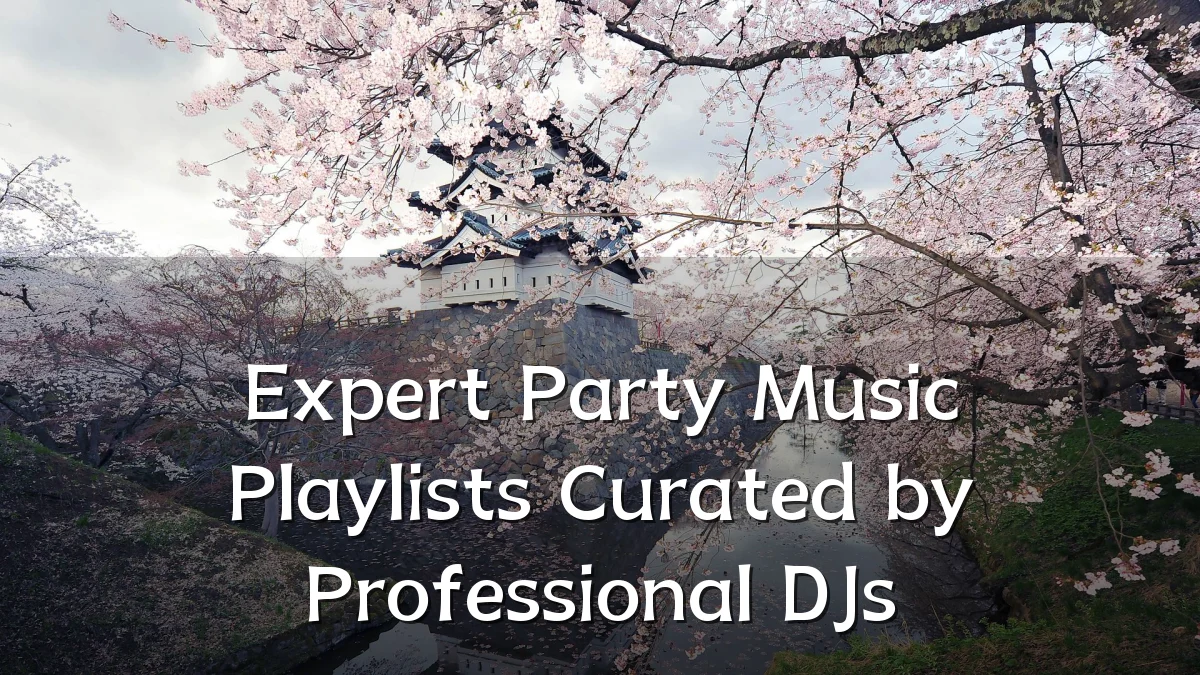 Expert Party Music Playlists Curated by Professional DJs