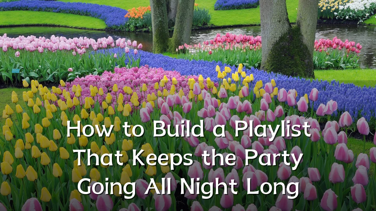 How to Build a Playlist That Keeps the Party Going All Night Long