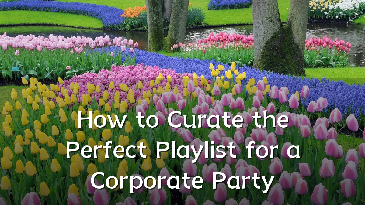 How to Curate the Perfect Playlist for a Corporate Party