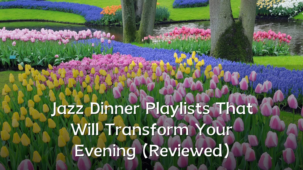 Jazz Dinner Playlists That Will Transform Your Evening (Reviewed)