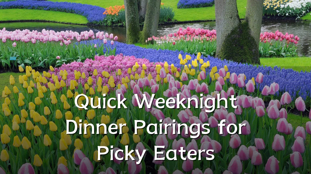 Quick Weeknight Dinner Pairings for Picky Eaters