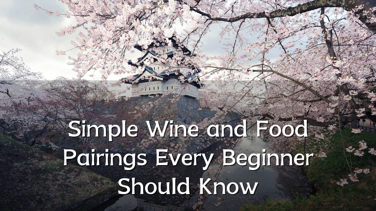 Simple Wine and Food Pairings Every Beginner Should Know