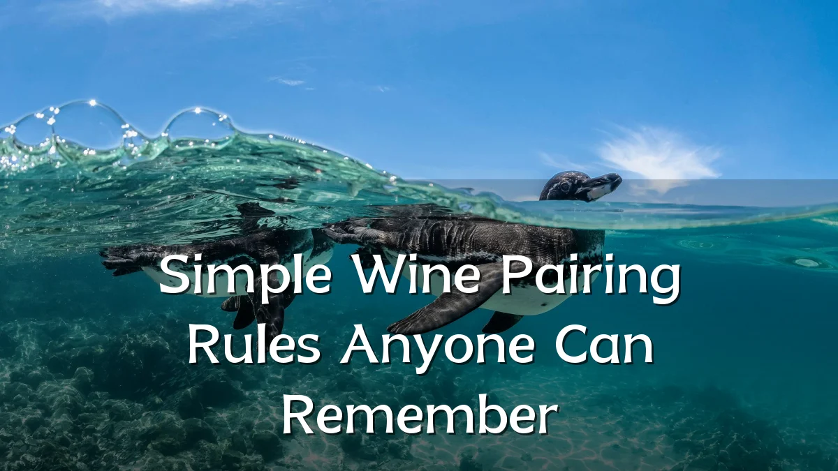 Simple Wine Pairing Rules Anyone Can Remember