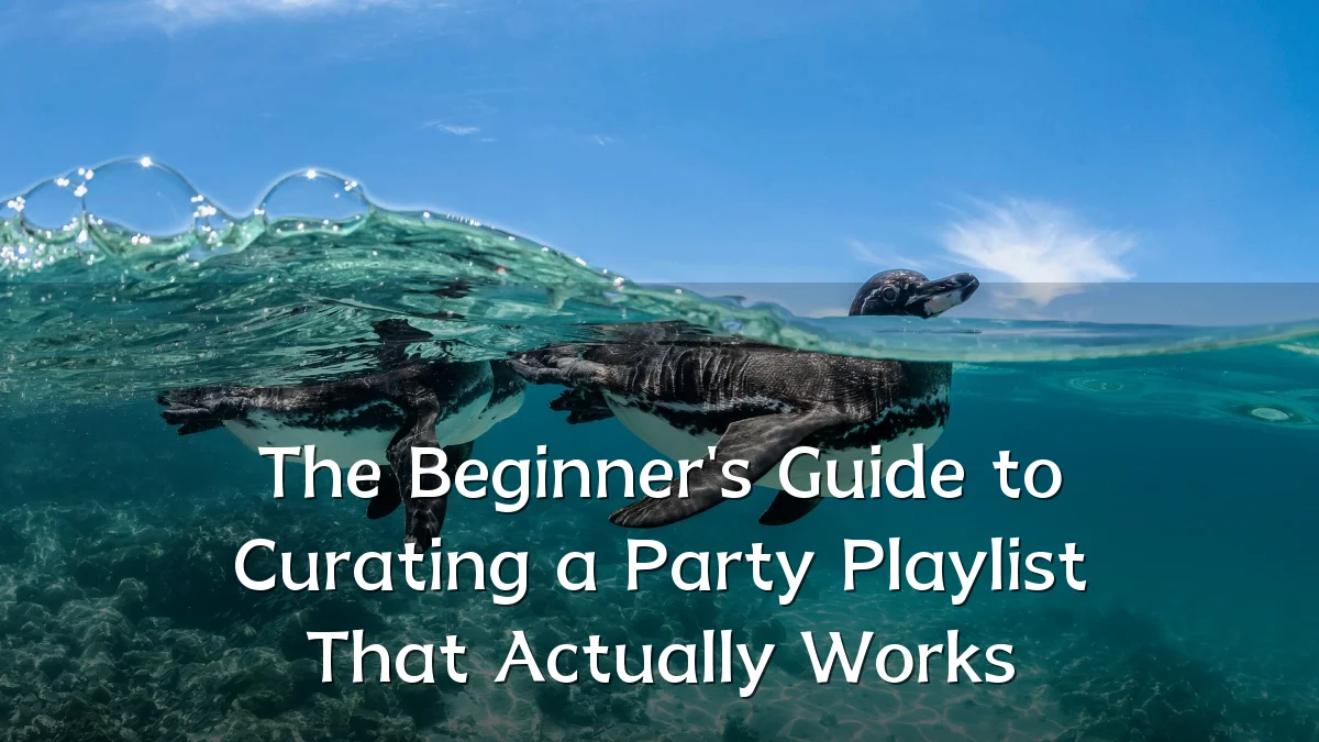 The Beginner's Guide to Curating a Party Playlist That Actually Works
