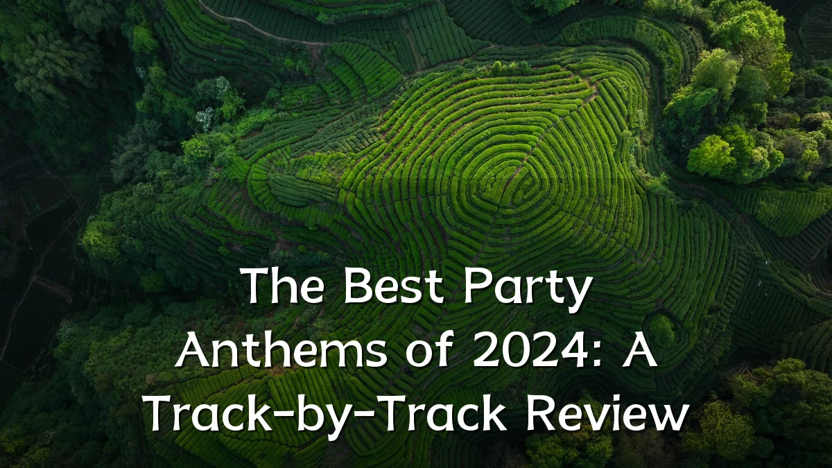 The Best Party Anthems of 2024: A Track-by-Track Review