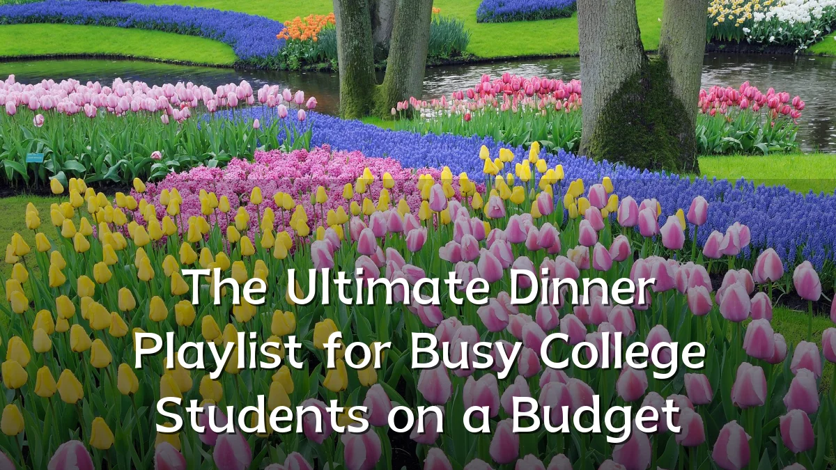 The Ultimate Dinner Playlist for Busy College Students on a Budget