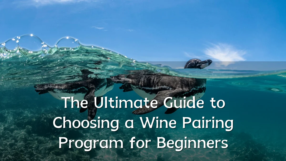 The Ultimate Guide to Choosing a Wine Pairing Program for Beginners