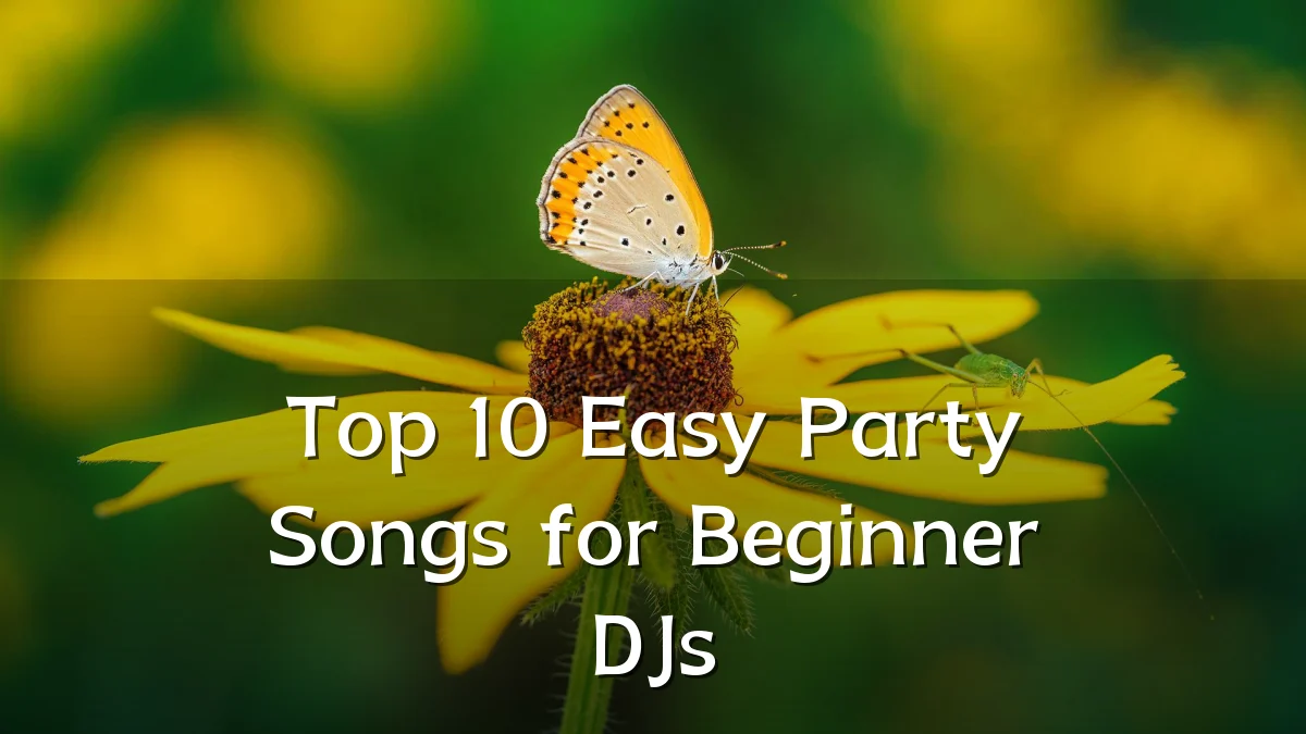 Top 10 Easy Party Songs for Beginner DJs