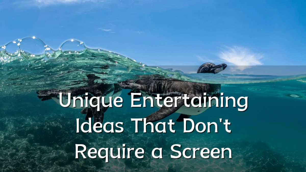 Unique Entertaining Ideas That Don't Require a Screen