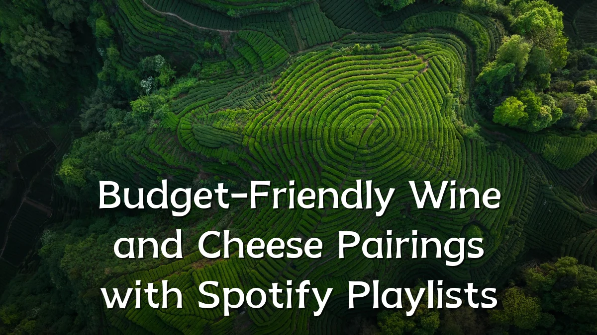 Budget-Friendly Wine and Cheese Pairings with Spotify Playlists