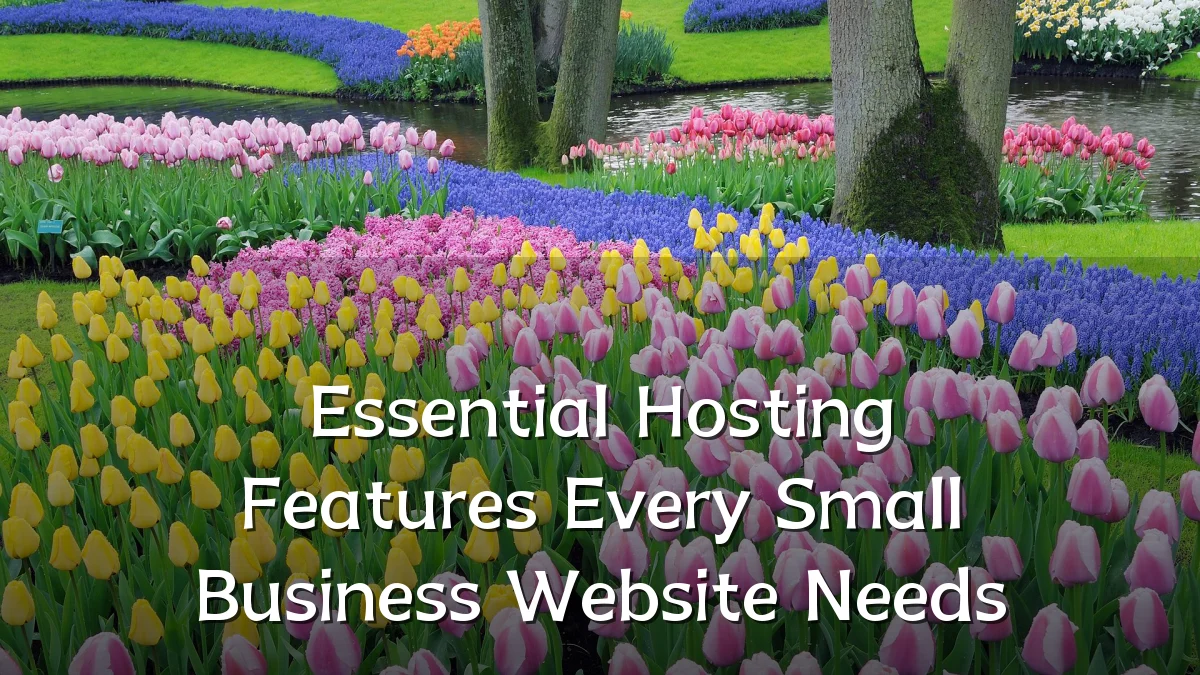 Essential Hosting Features Every Small Business Website Needs