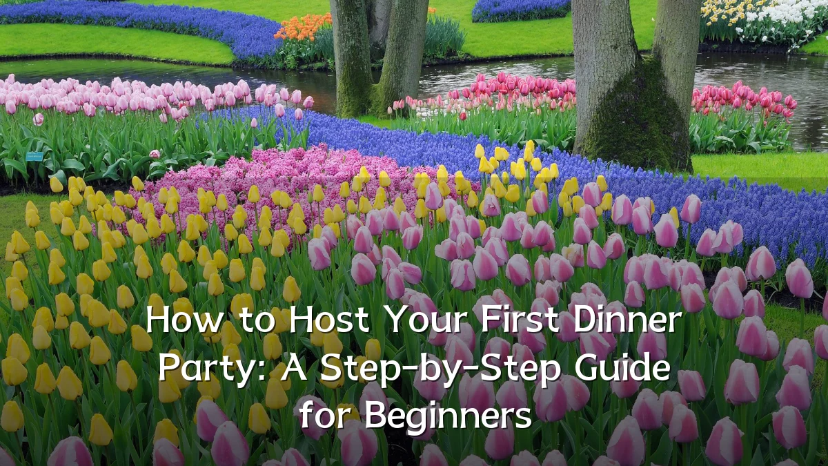 How to Host Your First Dinner Party: A Step-by-Step Guide for Beginners