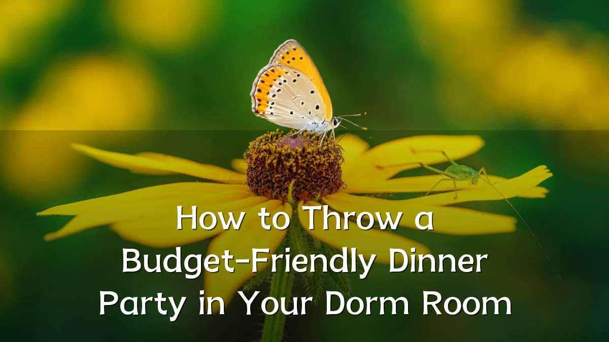 How to Throw a Budget-Friendly Dinner Party in Your Dorm Room