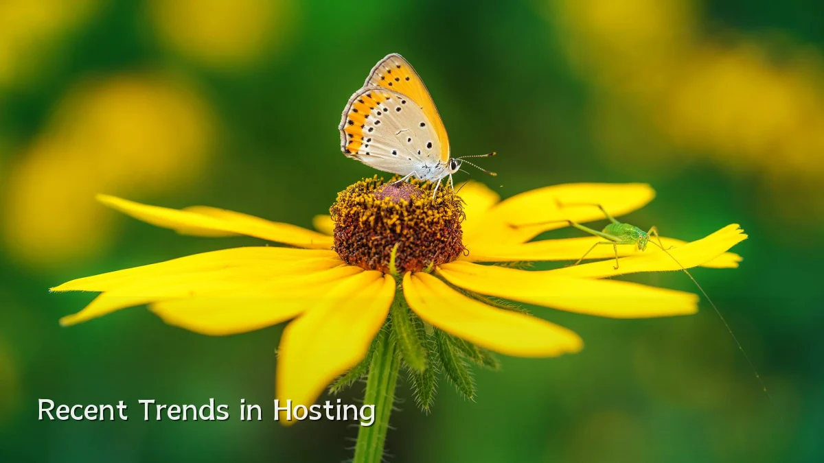 Recent Trends in Hosting