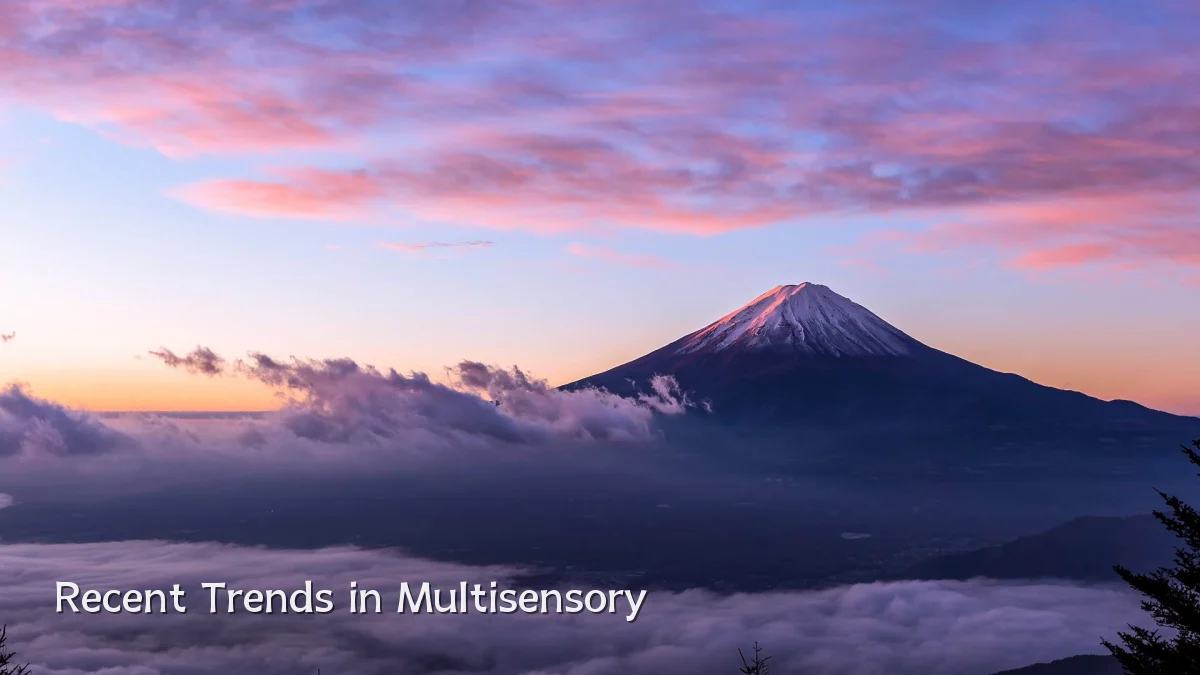 Recent Trends in Multisensory