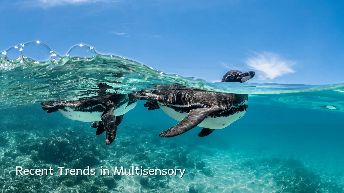 Recent Trends in Multisensory