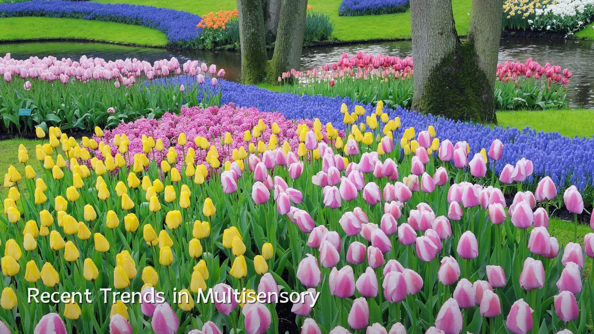 Recent Trends in Multisensory