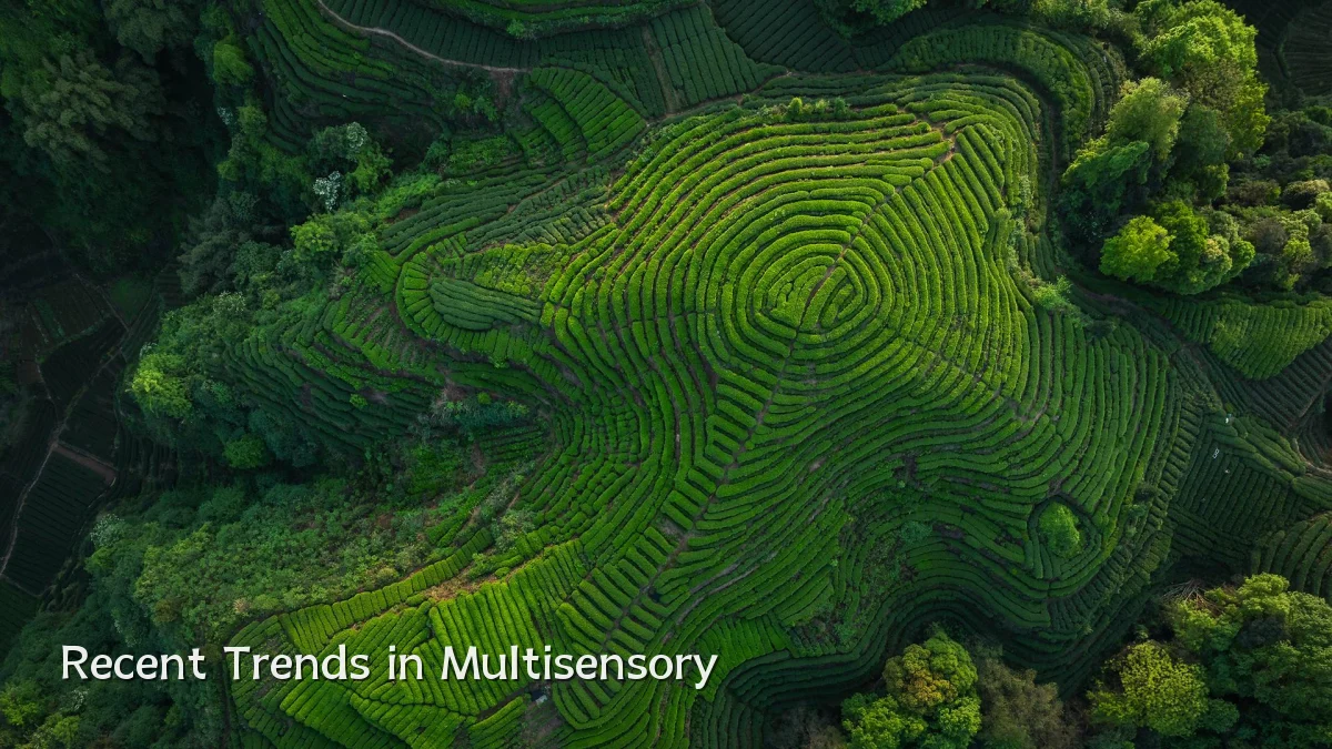Recent Trends in Multisensory