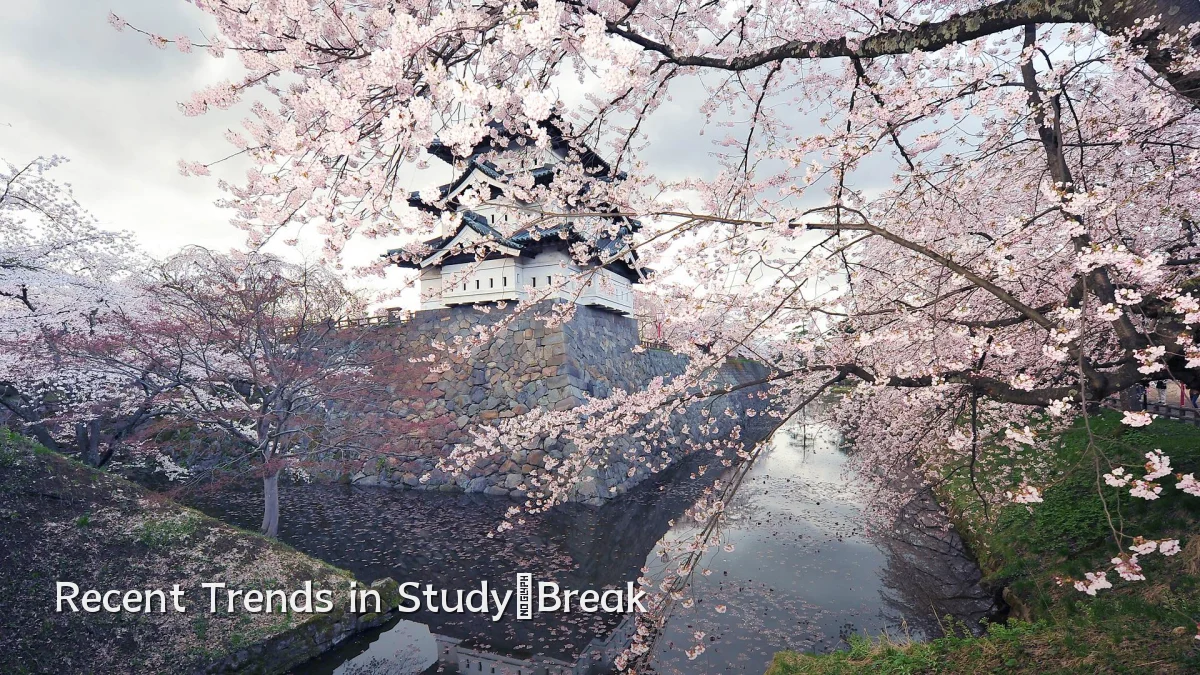 Recent Trends in Study‑Break