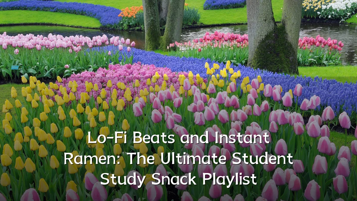 Lo-Fi Beats and Instant Ramen: The Ultimate Student Study Snack Playlist