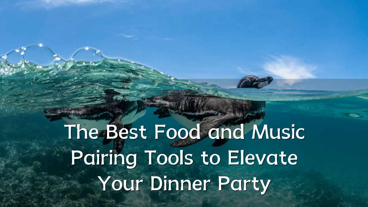 The Best Food and Music Pairing Tools to Elevate Your Dinner Party