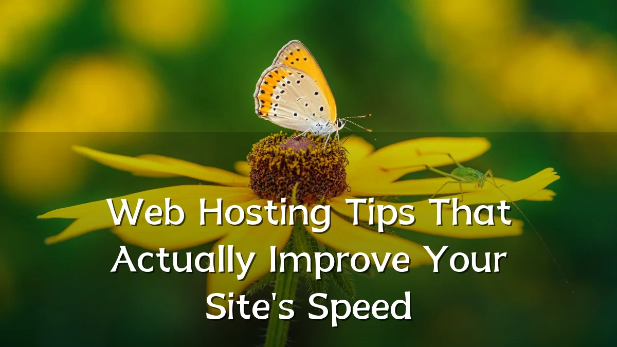 Web Hosting Tips That Actually Improve Your Site's Speed